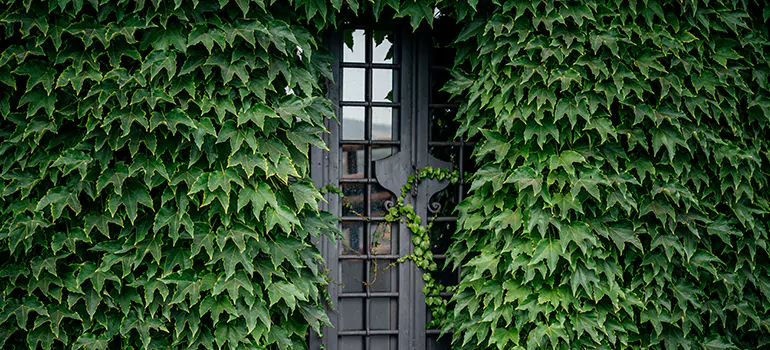 Garden Gate Repair in Santa Clara, CA