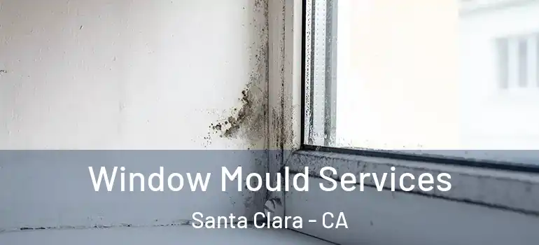  Window Mould Services Santa Clara - CA
